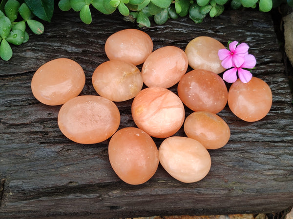 Polished Orange Twist Calcite Palm Stones x 12 From Madagascar