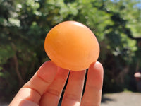 Polished Orange Twist Calcite Palm Stones x 12 From Madagascar