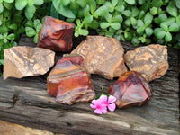 Natural Nguni Jasper Cobbed Specimens x 6 From Prieska, South Africa