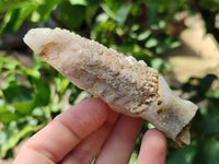 Natural Drusy Quartz Coated Calcite Pseudomorph Specimens x 12 From Alberts Mountain, Lesotho