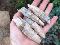 Natural Drusy Quartz Coated Calcite Pseudomorph Specimens x 12 From Alberts Mountain, Lesotho