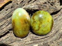 Polished Green Opal Palm Stones x 12 From Antsirabe, Madagascar