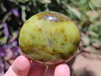 Polished Green Opal Palm Stones x 12 From Antsirabe, Madagascar