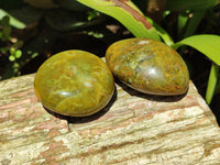 Polished Green Opal Palm Stones x 12 From Antsirabe, Madagascar