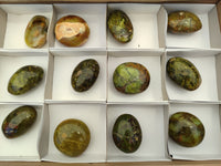 Polished Green Opal Palm Stones x 12 From Antsirabe, Madagascar