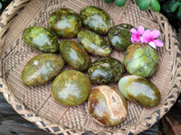 Polished Green Opal Palm Stones x 12 From Antsirabe, Madagascar