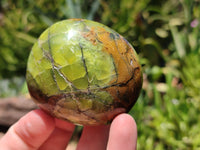 Polished Green Opal Palm Stones x 12 From Antsirabe, Madagascar