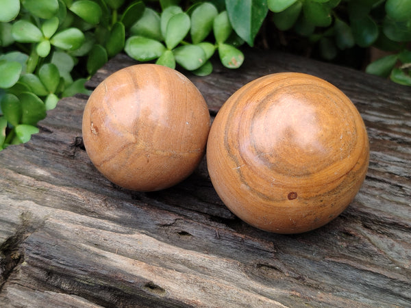 Polished Picture Stone Jasper Spheres x 6 From Namibia