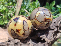 Polished Septerye Spheres x 4 From Mahajanga, Madagascar