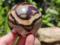 Polished Septerye Spheres x 4 From Mahajanga, Madagascar