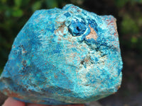 Natural Shattuckite & Chrysocolla Cobbed Specimens x 4 From Namibia