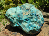 Natural Shattuckite & Chrysocolla Cobbed Specimens x 4 From Namibia