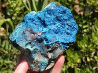 Natural Shattuckite & Chrysocolla Cobbed Specimens x 4 From Namibia