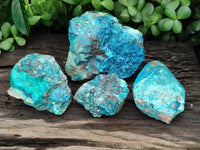 Natural Shattuckite & Chrysocolla Cobbed Specimens x 4 From Namibia