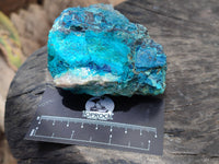 Natural Shattuckite & Chrysocolla Cobbed Specimens x 4 From Namibia