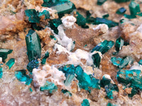 Natural Dioptase Matrix Specimen x 1 From Namibia