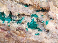 Natural Dioptase Matrix Specimen x 1 From Namibia