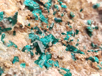 Natural Dioptase Matrix Specimen x 1 From Namibia