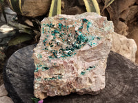 Natural Dioptase Matrix Specimen x 1 From Namibia