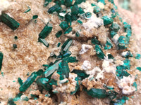 Natural Dioptase Matrix Specimen x 1 From Namibia