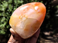 Polished Carnelian Standing Free Forms x 5 From Madagascar