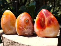 Polished Carnelian Standing Free Forms x 5 From Madagascar