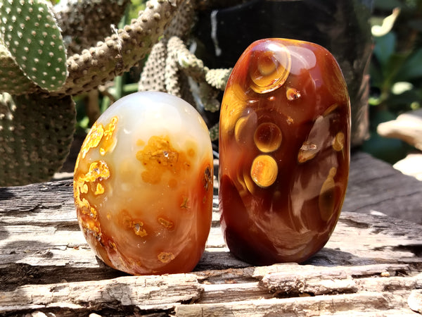 Polished Carnelian Standing Free Forms x 5 From Madagascar