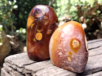 Polished Carnelian Standing Free Forms x 5 From Madagascar