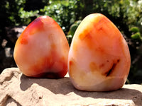 Polished Carnelian Standing Free Forms x 5 From Madagascar