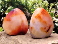 Polished Carnelian Standing Free Forms x 5 From Madagascar