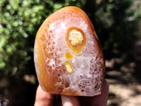 Polished Carnelian Standing Free Forms x 5 From Madagascar