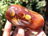 Polished Carnelian Standing Free Forms x 5 From Madagascar