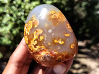 Polished Carnelian Standing Free Forms x 5 From Madagascar