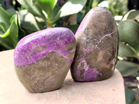 Polished Stichtite Standing Free Forms x 4 From Barberton, South Africa