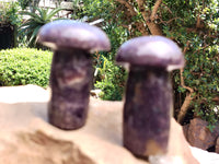 Polished Lepidolite Mushrooms x 6 From Zimbabwe