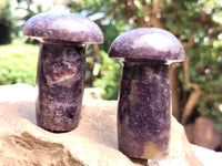 Polished Lepidolite Mushrooms x 6 From Zimbabwe