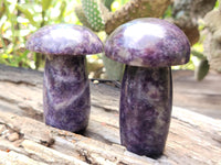 Polished Lepidolite Mushrooms x 6 From Zimbabwe