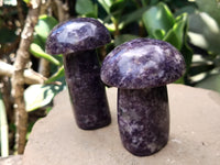 Polished Lepidolite Mushrooms x 6 From Zimbabwe