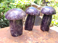 Polished Lepidolite Mushrooms x 6 From Zimbabwe