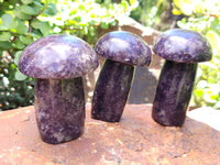 Polished Lepidolite Mushrooms x 6 From Zimbabwe