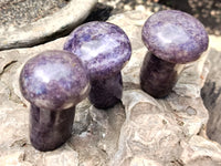 Polished Lepidolite Mushrooms x 6 From Zimbabwe