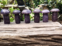 Polished Lepidolite Mushrooms x 6 From Zimbabwe