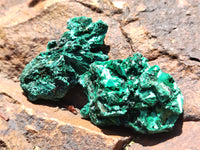 Natural Silky Malachite Specimens x 20 From Kasompe, Congo