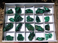 Natural Silky Malachite Specimens x 20 From Kasompe, Congo