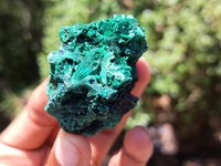 Natural Silky Malachite Specimens x 20 From Kasompe, Congo