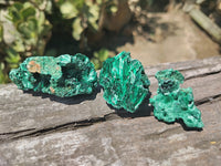 Natural Silky Malachite Specimens x 20 From Kasompe, Congo