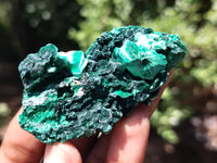 Natural Silky Malachite Specimens x 20 From Kasompe, Congo