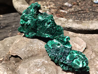 Natural Silky Malachite Specimens x 20 From Kasompe, Congo