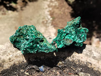 Natural Silky Malachite Specimens x 20 From Kasompe, Congo