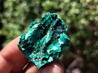 Natural Silky Malachite Specimens x 20 From Kasompe, Congo